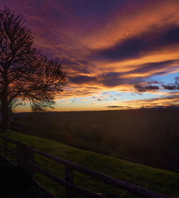 Jamie WeinbrenMichael Weinbren Image from website: https://www.mw-gallery.photos/